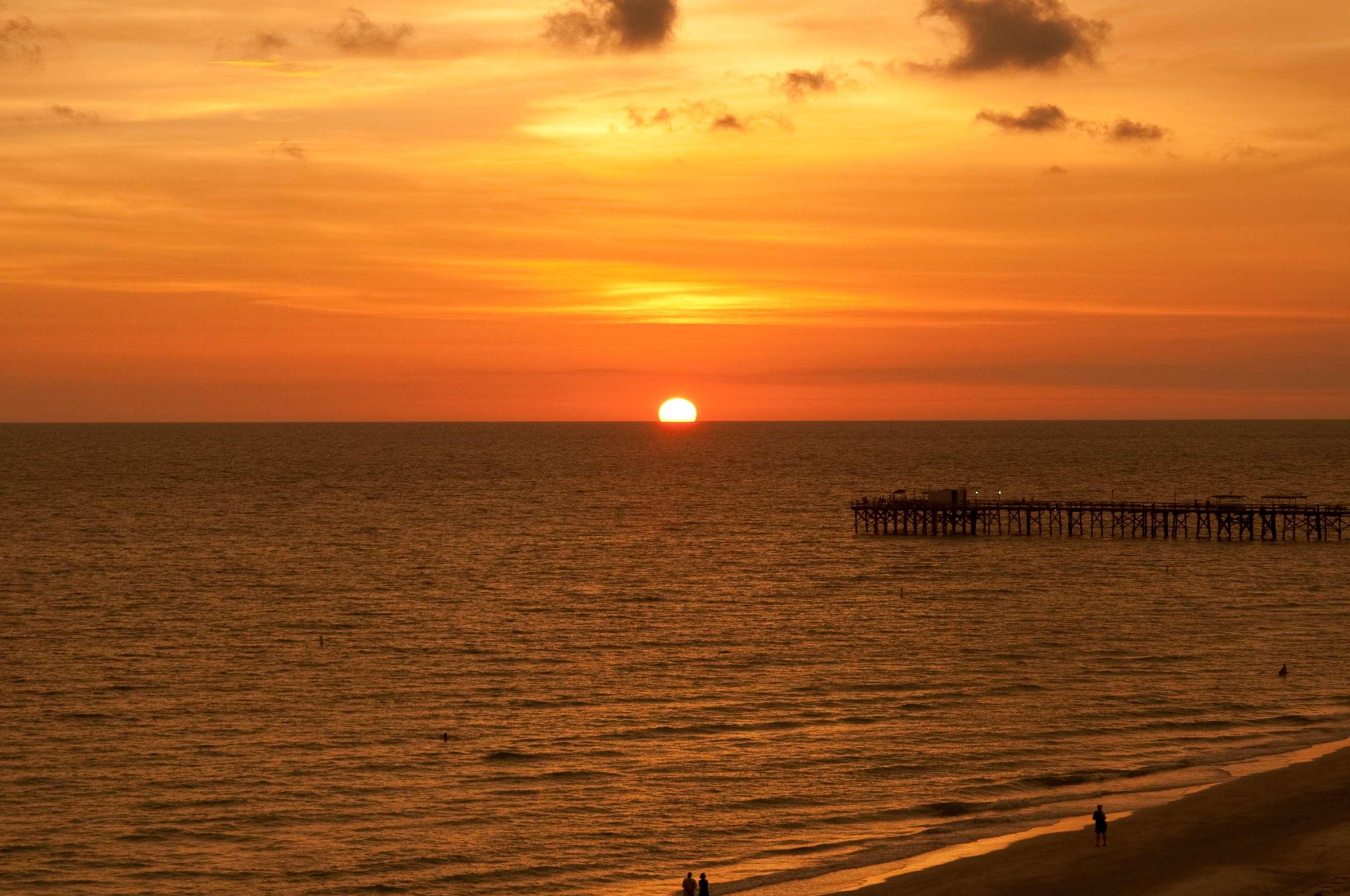 Doubletree Beach Resort By Hilton Tampa Bay - North Redington Beach St. Pete Beach Bekvämligheter bild